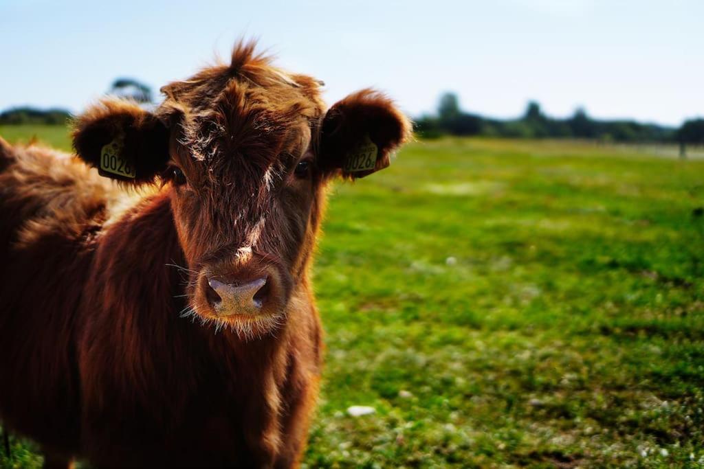 Gite De Charme A La Ferme - Duplex Landrévarzec Esterno foto